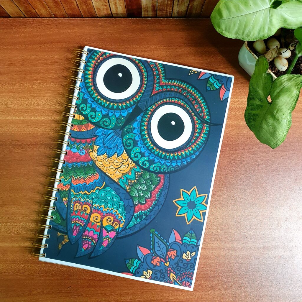 quirky-notebook-5