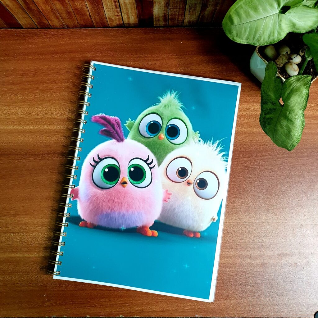 quirky-notebook-7